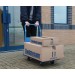 Silverline Folding Platform Flat Bed Trolley Truck 150kg 675213