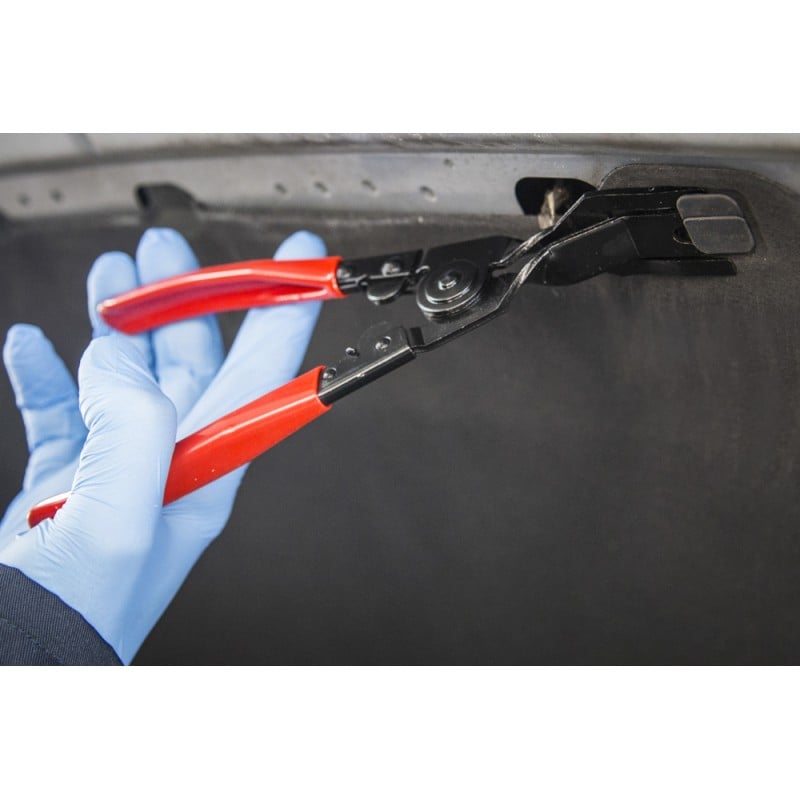 Blue Spot Tools Car Door Panel and Trim Removal Pliers 07928 Sealants