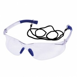 Clear Wrap Around Safety Glasses PTI0202