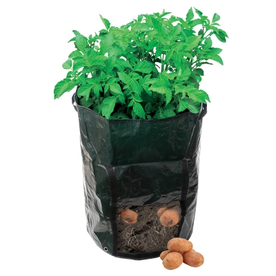 Potato Planting Potatoe Growing Bag 261137