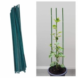 Green Bamboo Garden Plant Support 300mm 50pk 688506