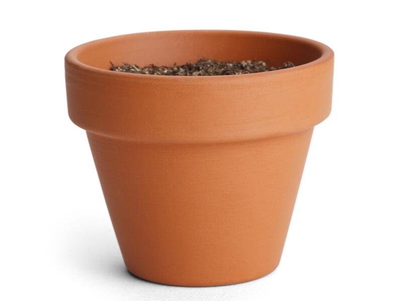 3 Creative Ways To Personalise A Plain Flower Pot