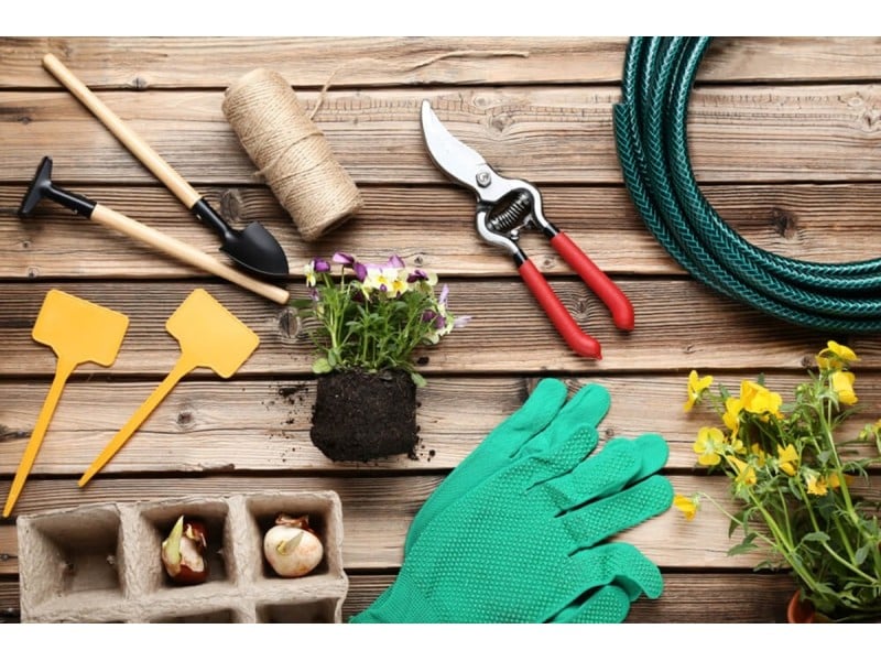 Get Your Garden Ready for Spring: Special Offers You Don’t Want to Miss