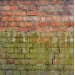 Everbuild 404 Fungicidal Wash Moss Mould Remover 1 Litre Spray FUN1