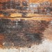 Everbuild Lumberjack Masonry Dry Rot Treatment 5 Litre 483768 LJROT05