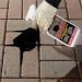 Everbuild Oil Away Cleaner Drive Path Patios 1 litre OIL1 484752