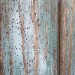 Everbuild Lumberjack Woodworm Killer Treatment 5 Litre LJWORM05 