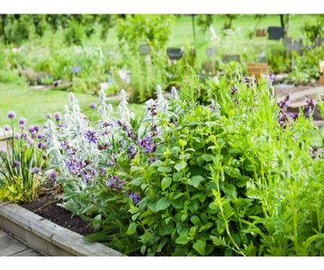 Your Guide To Creating A Healthy Garden This Year