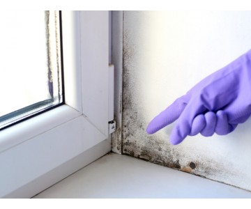 Household Damp - How To Deal With It