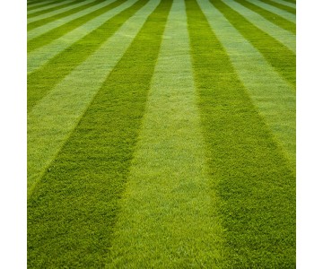 Doff Lawn Grass Seed - The Perfect Garden Lawn