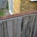 Amtech Pest & Security Intruder Prickle Spikes Fence Wall Deterrent Brown S1606