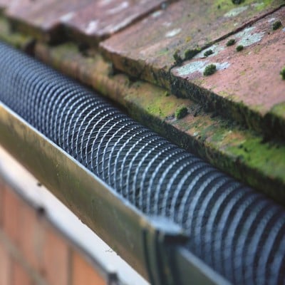 Best Gutter Guards for Maple Trees: Keep Your Gutters Flowing This ...