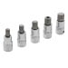 Blue Spot Tools Spline Bit Set M10 to M18 Tray EVA Foam 1/2" 01509
