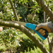 Blue Spot Tools Folding Pruning Saw 180mm Blade 27170 Bluespot
