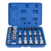 Blue Spot Tools Torx Socket and Bit Set Male Female 01529