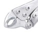 Blue Spot Tools Long Nose and Curved Small Locking Pliers Twin Pack 06525