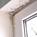 Bond It Mould Stop Moss Mildew Remover 25 Litre Fungicidal Wash BDH072