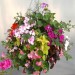 Doff Wool and Moss Hanging Flower Basket Liner Water Retainer DP1026