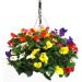 Doff Hanging Basket and Tub 150 day Drip Feeders 10pk DP1045