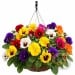Doff Hanging Basket and Tub 150 day Drip Feeders 10pk DP1045