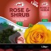 Doff Rose & Shrub Feed Plant Food Manure Enriched Fertiliser 1.5kg