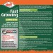 Doff Fast Growing Lawn Grass Seed with PROCOAT FLCA00DOF 1kg