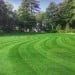 Doff Hard Wearing 500g Lawn Grass Seed PROCOAT F-LB-500-DOF