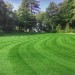 Doff Hard Wearing Lawn Grass Seed with PROCOAT FLBA00DOF 1kg