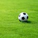Doff Hard Wearing Lawn Grass Seed PROCOAT FLB500DOF 500g