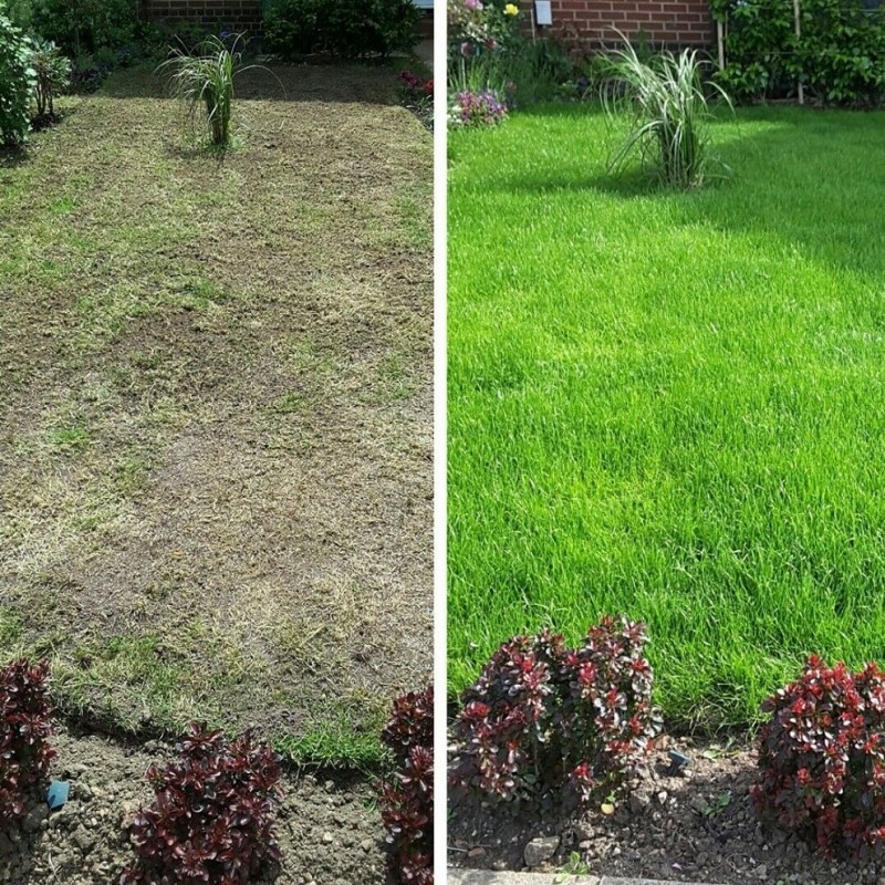 Doff Lawn Repair Super Patch Ultimate Grass Seed Top Dressing 2kg FLE