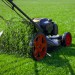 Doff Multi Purpose Lawn Grass Seed PROCOAT FLD250DOF 250g