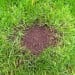 Doff Green Fingers Patch Fix Plus Grass Seed Feed Coco Coir 800g F-LA-800-DGF