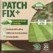 Doff Green Fingers Patch Fix Plus Grass Seed Feed Coco Coir 800g F-LA-800-DGF