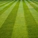 Doff Patch Repair Lawn Grass Seed inc Fertiliser Dressing 1kg F-GK-A00-DOF