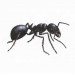 Doff Ant and Crawling Insect Killer Aerosol Spray 300ml DP1033