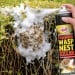 Doff Advanced Foaming Wasp Nest Killer Spray 300ml DP1074
