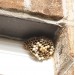 Doff Advanced Foaming Wasp Nest Killer Spray 300ml DP1074-01