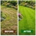 Doff Power Up Lawn Grass Feed Weed and Moss Killer 100sqm 3.2kg F-LM-C20-DPU