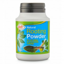 Doff Natural Plant Root Rooting Powder 75g FKE075DFF