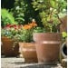 Doff Slugs Be Gone Copper Plant Pot Slug Snail Barrier Tape 4m DP1020