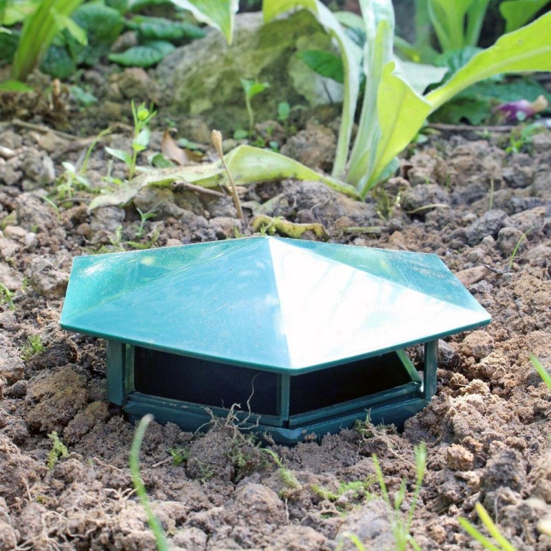 Doff Traditional Type Slug & Snail Bait Trap Twin Pack DP1001