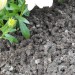 Doff Slugs Be Gone 3 in 1 Wool Pellets Pesticide Free Slug Deterrent 1 Litre DP1096