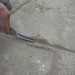 Faithfull Brick Mortar Jointer Pointing Iron 12mm and 16mm FAIBJ1258