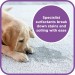 Flow Pet Magic Carpet Cleaner 5 Litre Linen Fragrance MAGIC5L