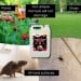 Flow Rodent and Insect Sprayable Repellent 5 Litre RAT5L