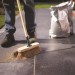 Geo-Fix Paving Jointing Compound ORIGINAL Buff or Grey