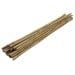 Green Blade Garden and House Plant Natural Bamboo Support 600mm x10 PS210