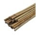 Green Blade Garden and House Plant Natural Bamboo Support 600mm x10 PS210