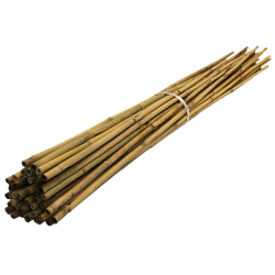 Kingfisher Garden Bamboo Plant Support 1200mm x 20 BAM3A