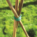 Kingfisher Garden Bamboo Plant Support 600mm x 20 BAM1A